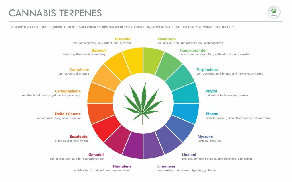 Cannabis Terpenes